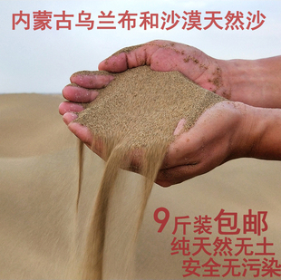 内蒙古沙漠沙天然细沙子沙袋沙风景沙玩具沙黄沙鱼缸宠物沙9斤装