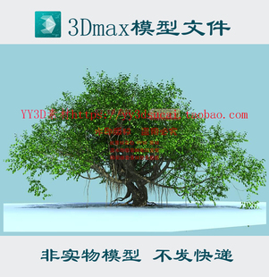 榕树obj格式 榕树3d榕树3dsmax模型榕树3d素材 榕树OBJ m0754