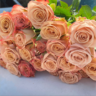 玫瑰鲜花花束云南直发速递同城卡布奇诺戴安娜艾莎520情人节礼物