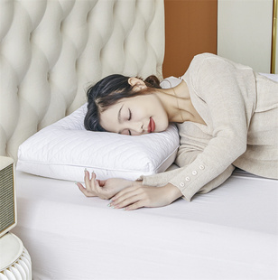 汉庭丽枫五星级酒店荞麦羽丝双面枕头护颈椎助睡眠专用枕芯 全季
