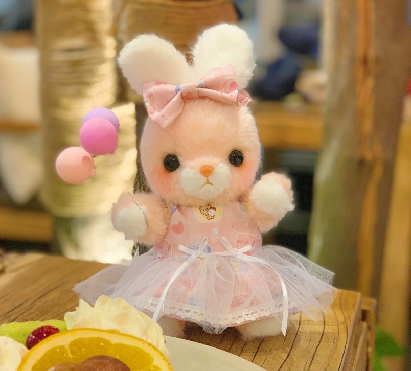 不含兔子 配饰泰迪熊手作玩偶安啵兔diy娃娃衣服 Amber兔服装