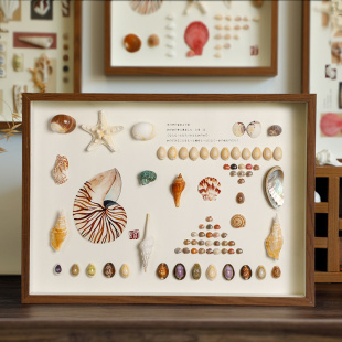 天然贝壳海螺标本挂画手工艺品摆件相框diy制作家居创意装 饰品画