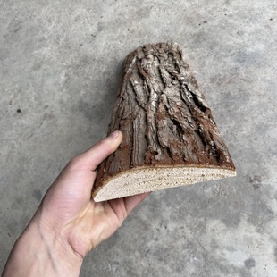 石斛吊栽板 樟木板 石斛专用种植板植料杉木 带皮樟树板替代实木