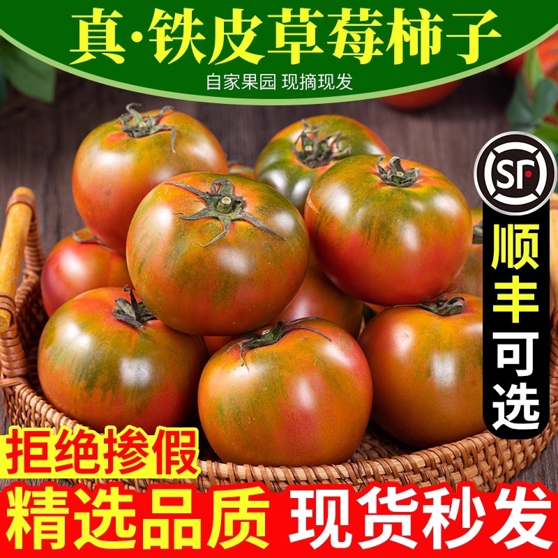 正宗丹东草莓柿子5斤自然熟生吃新鲜水果草莓西红柿铁皮绿腚番茄