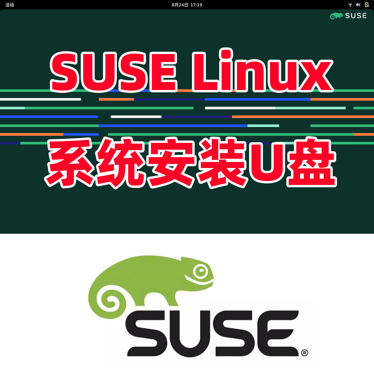 linux系统安装 Server Enterprise U盘server Linux SUSE
