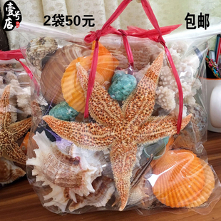 600G约25个鱼缸装 海南高档天然海螺海星贝壳套装 饰旅游礼物 包邮