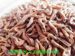 包邮 湖北崇阳小河虾小米虾干货自然生长淡水虾虾干特级无盐200克