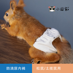 土拨鼠松鼠换洗尿布尿不湿外出用品训练衣服清理卫生饲养用品玩具