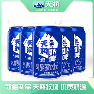 12瓶罐装 terun新疆天润奶啤300ml 乳酸菌饮品12罐 天润奶啤