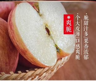 四川大凉山盐源丑苹果10斤整箱红富士苹果富士水果苹果山西苹果