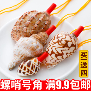 天然海螺号角儿童贝壳玩具小螺号超大海螺壳工艺品可吹响喇叭口哨
