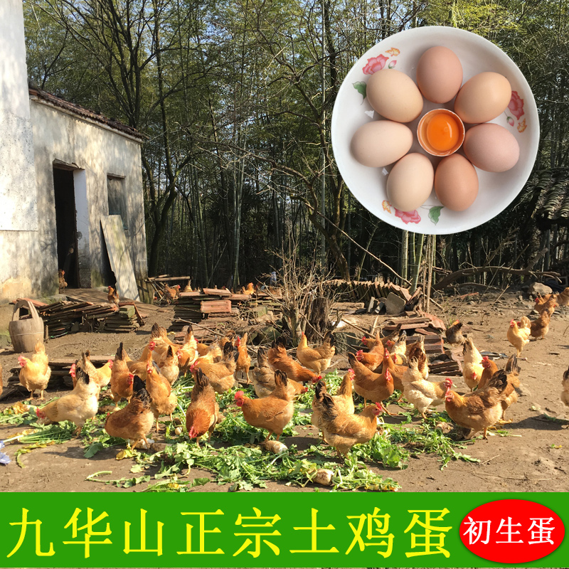正宗农家野外散养土鸡蛋新鲜五谷笨鸡蛋农村自养九华山初生蛋40枚