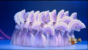 春晚朝鲜族舞蹈心灵之翼扇子朝鲜舞扇子专业舞台表演扇羽毛扇 原版