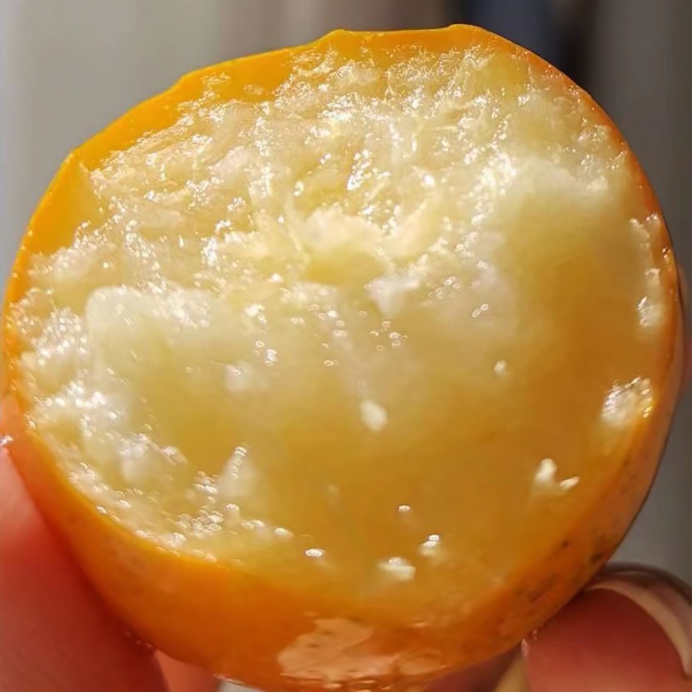 广西融安脆蜜金柑金橘子新鲜滑皮金桔水果1箱2.7斤顺丰包江浙沪皖