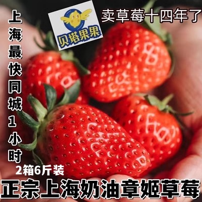 贝塔果果现新鲜水果本地章姬奶油草莓礼盒装 非丹东99红颜 上海 包邮