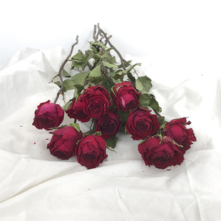 饰家居摆设DIY花材 真花自然风干客厅装 九南单头红玫瑰珍爱干花束