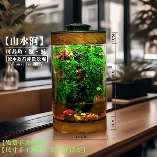 苔藓微景观流水造景绿植桌面小盆栽生态瓶雨林流水瓶可养鱼成品