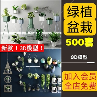 绿植室内盆栽3d模型植物摆件别墅庭院花园民宿花卉盆景花店3DMAX