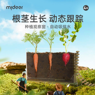 mideer弥鹿阳光房种植儿童科学小实验套装 种菜植物观察盒生物学5