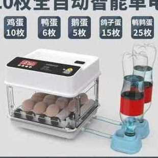 柯尔鸭孵化器小型家用孵化机全自动智能孵蛋器小鸡鸭品 新厂销新款