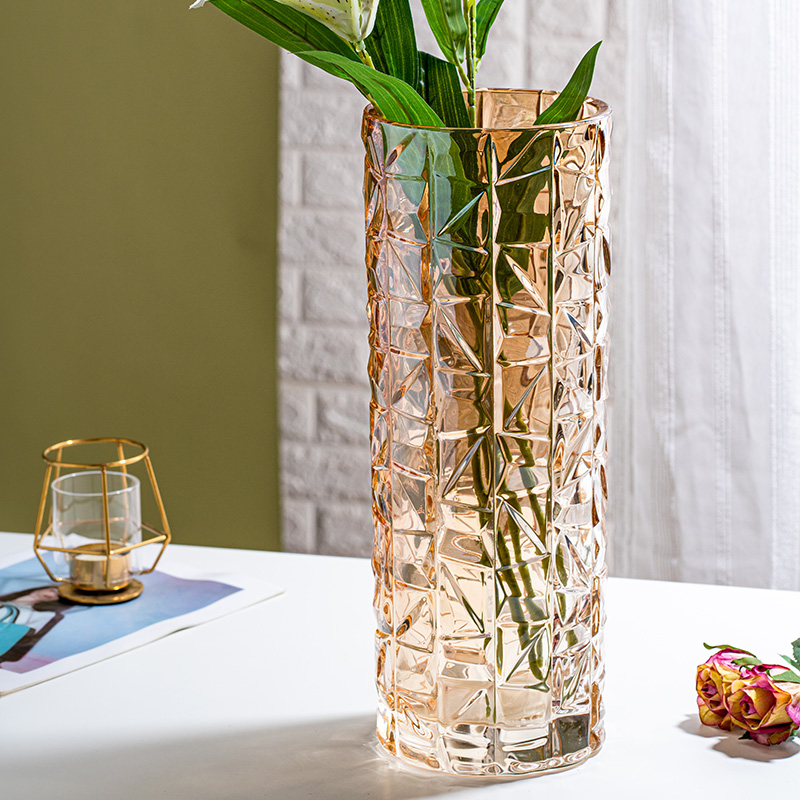 花瓶摆件客厅插花透明小玻璃瓶ins风马醉木水养宽口网红大富贵竹
