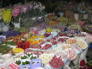 保证新鲜 每周订花 下脚料鲜花 多品种随机有惊喜有运 花店剩花