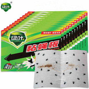 绿叶粘蝇板苍蝇贴粘苍蝇纸强力粘性家用捕蝇陷阱工厂直供
