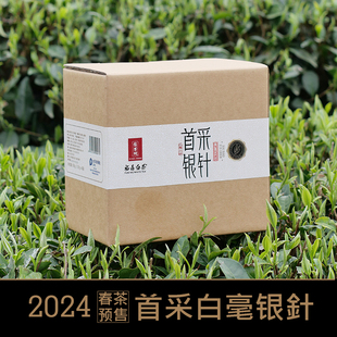 正宗原产核心高山产区 福鼎白茶白毫银针2024春茶预售