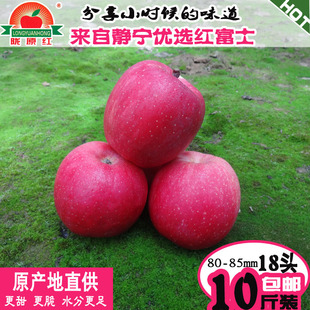 包邮 中国知名苹果品牌 静宁红富士 18头10斤 苹果 85mm 水果