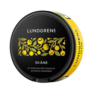 Norrland枞树芽山花进口snus替烟尼古丁含片 Lundgrens 8瑞典唇