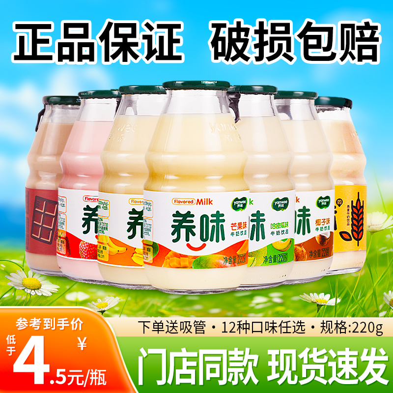 6瓶装 养味草莓味香蕉味牛奶儿童学生早餐乳酸菌饮料果味饮品220g