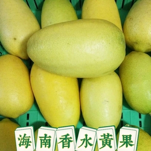 海南香水柠檬黄果长条无籽新鲜 包邮 5斤一级奶茶饮品店调味专用