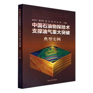 自然科学书籍 中国石油物探技术支撑油气重大突破典型实例书赵邦六