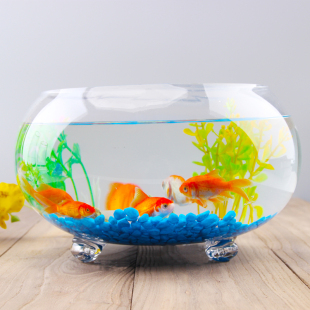 创意加厚带脚透明玻璃圆形金鱼缸客厅小型鱼缸家用桌面水培乌龟缸