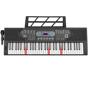 SUOYU多功能电子琴初学者儿童成年61键盘入门幼师专业家用电钢88