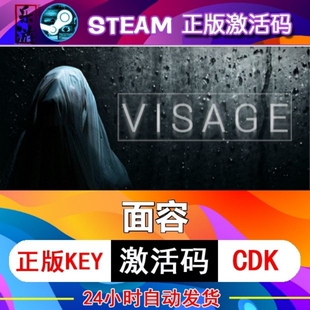 PC电脑恐怖游戏 入库Visage 面容steam全球区激活码