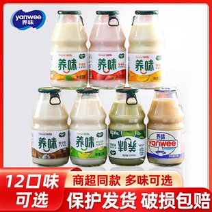 6瓶整箱学生早餐奶饮料 养味牛奶饮品乳酸菌芒果草莓香蕉果味220g