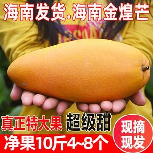 大青芒新鲜水果超级大芒果10斤 海南芒果金煌芒三亚特产应季