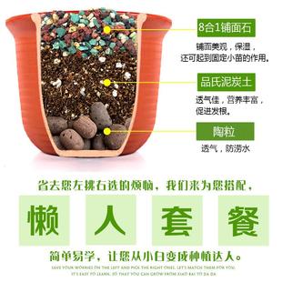营养土 包邮 多肉兰花陶粒颗粒土专用花肥土壤 种植土通用型组合套装