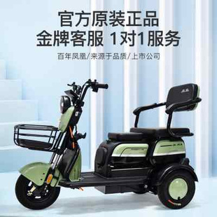 上海凤凰电动三轮车家用小型带棚客货两用接送孩子三轮代步电瓶车
