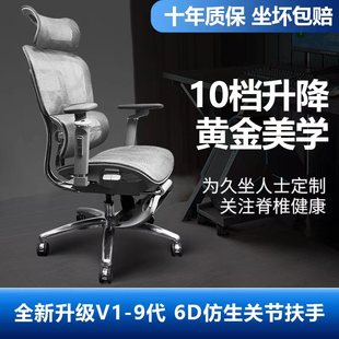 9代人体工学椅家用久坐办公椅舒适升降电脑椅护腰电竞椅 歌德V利1