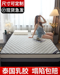 软垫双人床租房专用家用榻榻米垫子加厚海绵乳胶床垫简约现代冬季