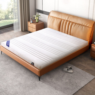 椰棕垫床垫硬垫护脊床垫经济型天然棕榈环保硬床垫 天坛家具
