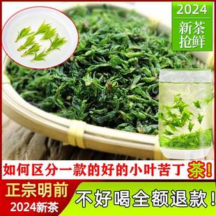 2024新茶叶贵州余庆小叶苦丁茶嫩芽明前特级青山绿水花草茶正品