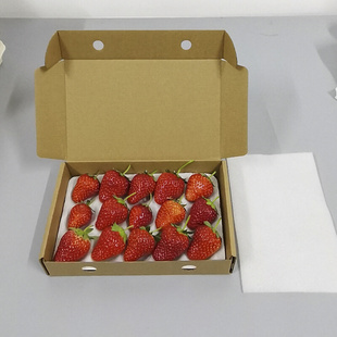 盒快递专用纸箱 草莓盒子一次性草莓礼盒分格托盘防震抗压草莓包装