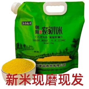 东北朝阳小米农家小米优质新米5斤养胃小米粥宝宝月子米营养粗粮