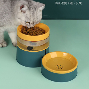 跨境狗碗撞色自动喂食器宠物碗护颈饮水机猫碗水粮两用狗食盆