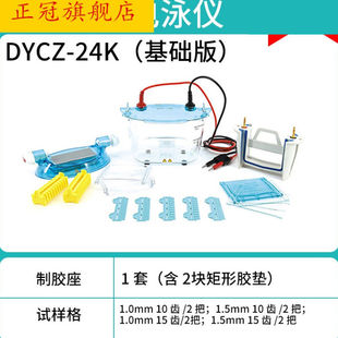 24K双板垂直 水平电泳槽电泳仪实验室琼脂糖核酸凝胶制胶器DYCZ