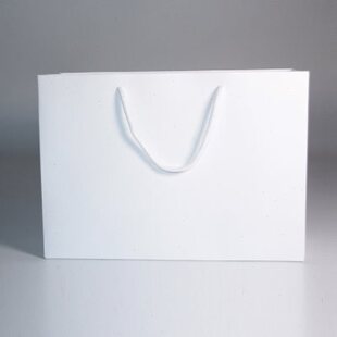 定制现货纸袋手提袋定做服装 装 包邮 衣服 袋白卡纸袋纸袋印刷纸袋R