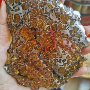 陨铁 太空宝石金色 lmilac依米拉克橄榄陨石标本切片摆件收藏精品